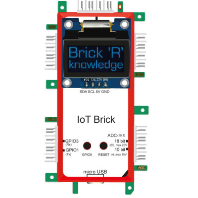 Brick'R'knowledge IoT Brick
