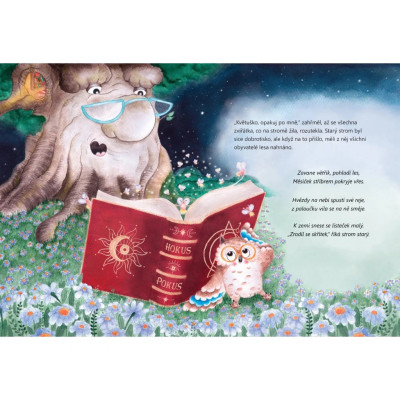 Dřevníček – krásná dětská knížka o lese a skřítkovi | Hračky KINT