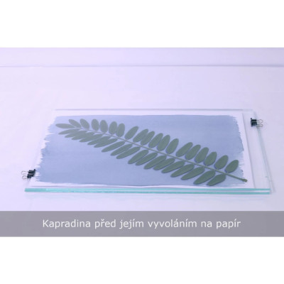 Kyanotypie - Domácí fotolaboratoř | Studijní pomůcky KINT