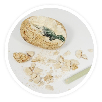 DinoEggs Vajíčko s Dlátkem od BUKI | Paleontologické Hračky KINT